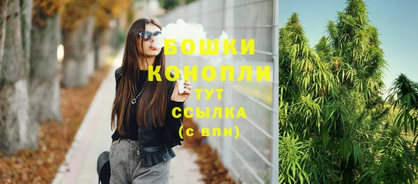 соль ск Богданович