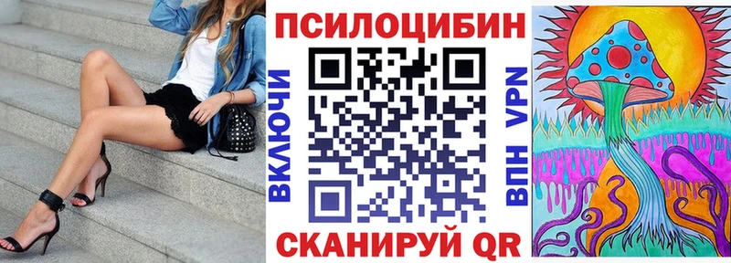 Псилоцибиновые грибы Psilocybine cubensis  Купить закладки  Чехов 